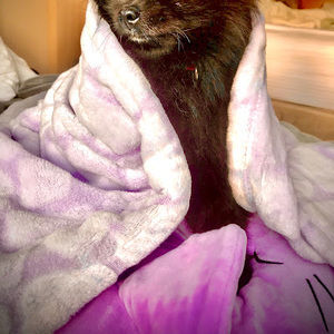 Meet your Posher, Finnliy